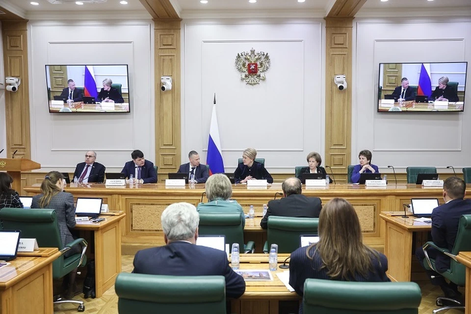Развитие инфраструктуры для подготовки кадров в Ярославской области обсудили на заседании комитета Совета Федерации по науке, образованию и культуре