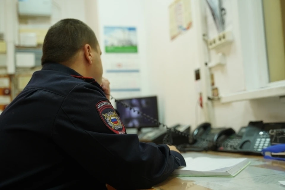 Полицейские задержали подозреваемую в краже