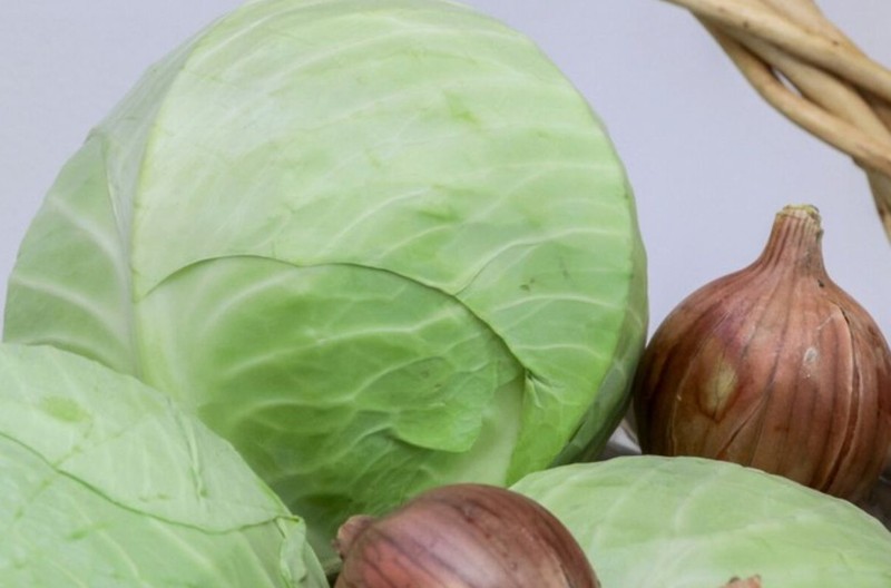 Названы продукты, которые не дают раковым клеткам размножаться. Фото: соцсети