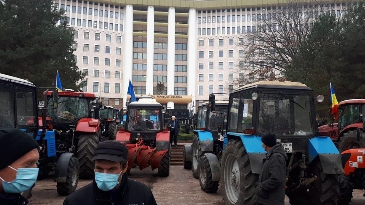 Руководству Молдовы наплевать на сельское хозяйство страны: Что ждет страну  - катастрофа и уничтожение всей экономики государства - MD.KP.MEDIA