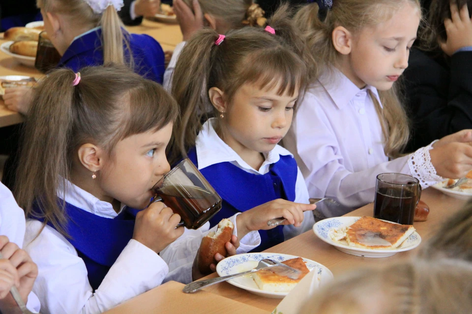 В первом этапе проекта модернизации школьных пищеблоков приняли участие 53 образовательных учреждения Нижнего Новгорода.