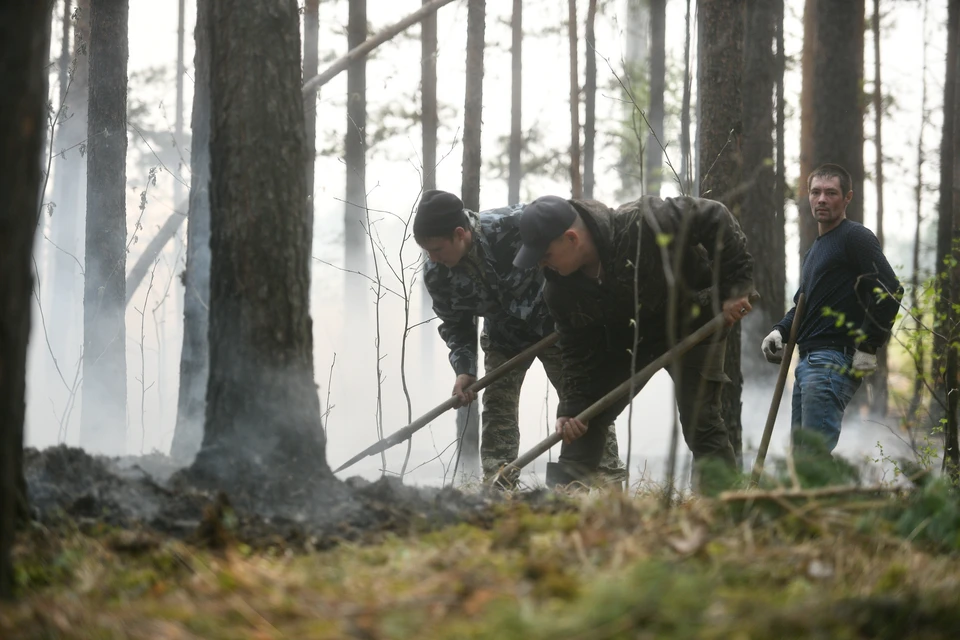 Из федерального бюджета на тушение лесных пожаров в Самарской области в этом году предусмотрено более трех миллионов рублей