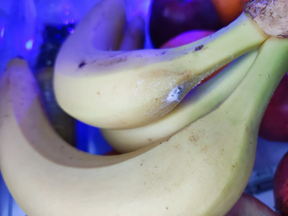 На бананах, привезенных службой доставки местные жители обнаружили паучий кокон. Фото: «Подслушано Ярославль».