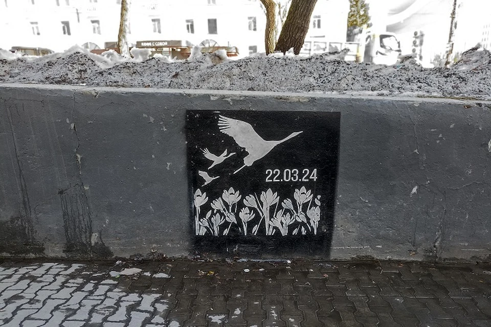 Стрит-арт с журавлями в Хабаровске