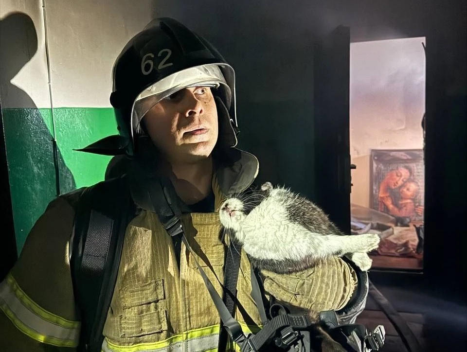 Кролика и его хозяйку спасли из горящей девятиэтажки в Дзержинске