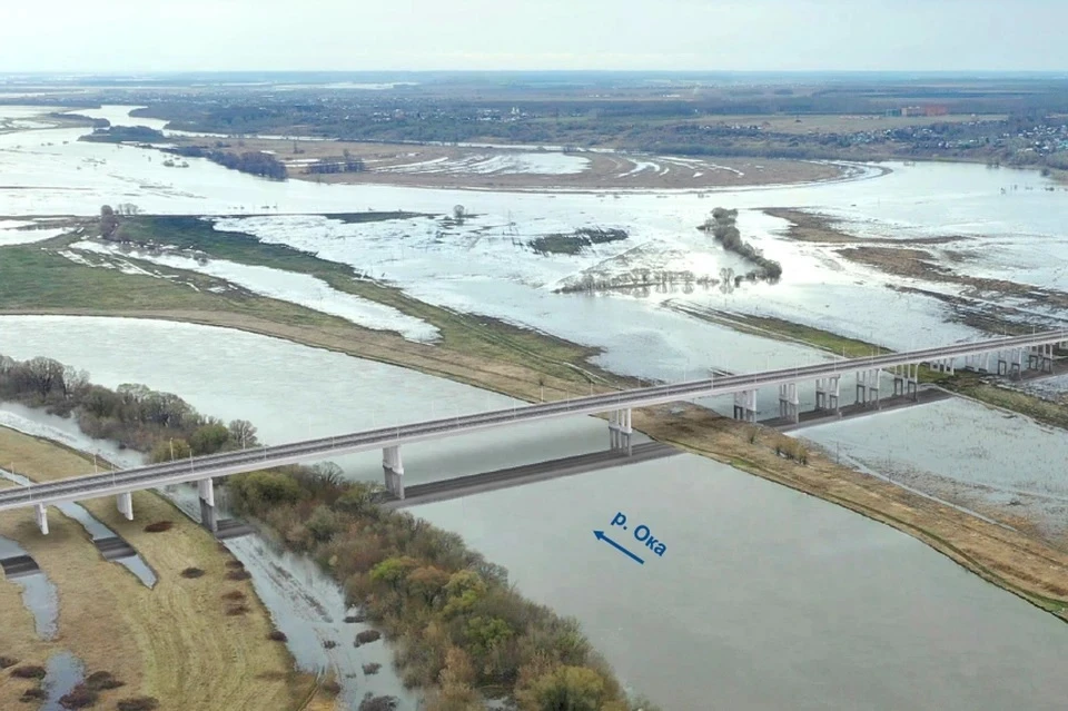 Эскиз нового моста через Оку под Рязанью. Фото: giprostroymost.ru.