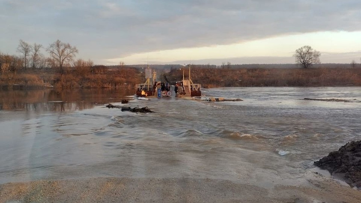 Паводок в Липецкой области 2024: затопленные мосты и дороги, эвакуация  жителей - KP.RU