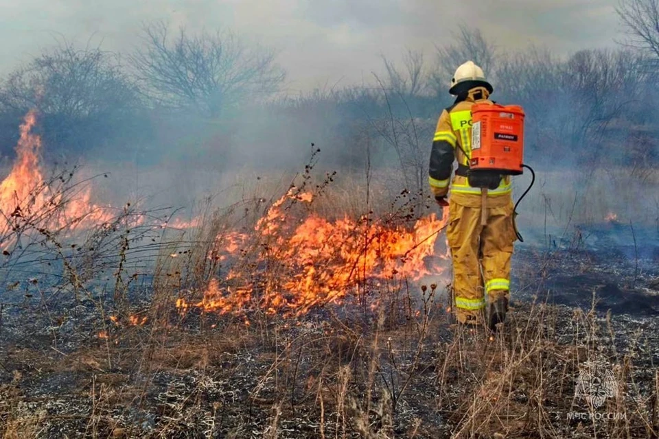 В результате пожаров в экосистеме Республики выгорело много сухой растительности. Фото: МЧС России по ДНР