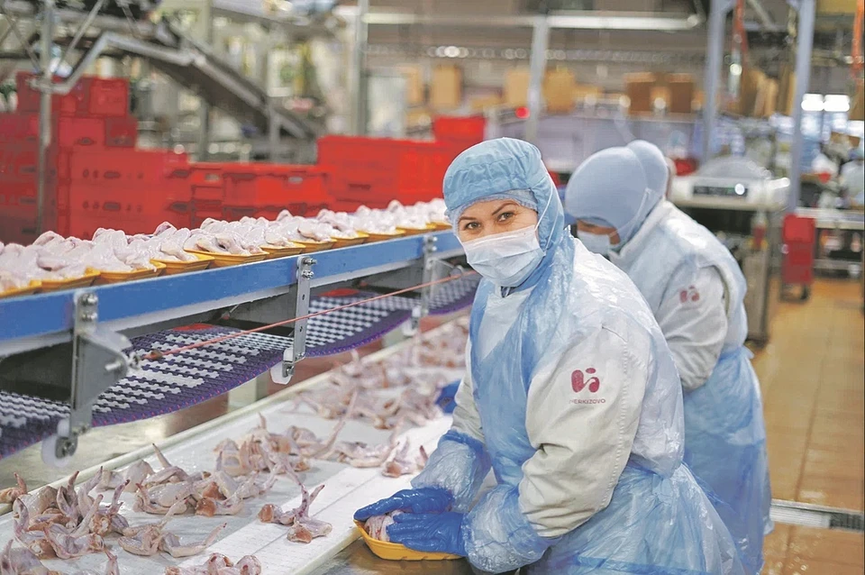 «Куриное царство - Брянск» входит в состав «Черкизово» - крупнейшего производителя мяса в России. Фото предоставлено пресс-службой группой «Черкизово»