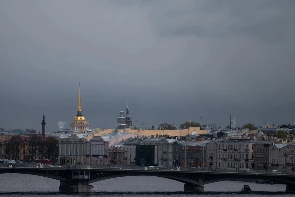 Дожди пройдут во второй половине дня 29 марта в Петербурге.