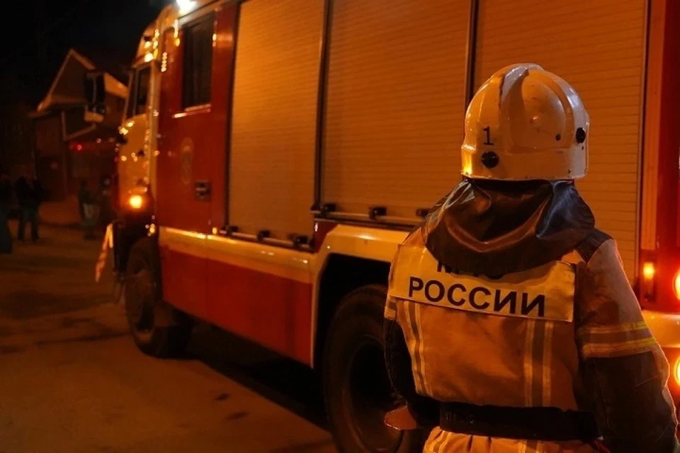 На пожарах в Крыму погибли 24 человека с начала 2024 года