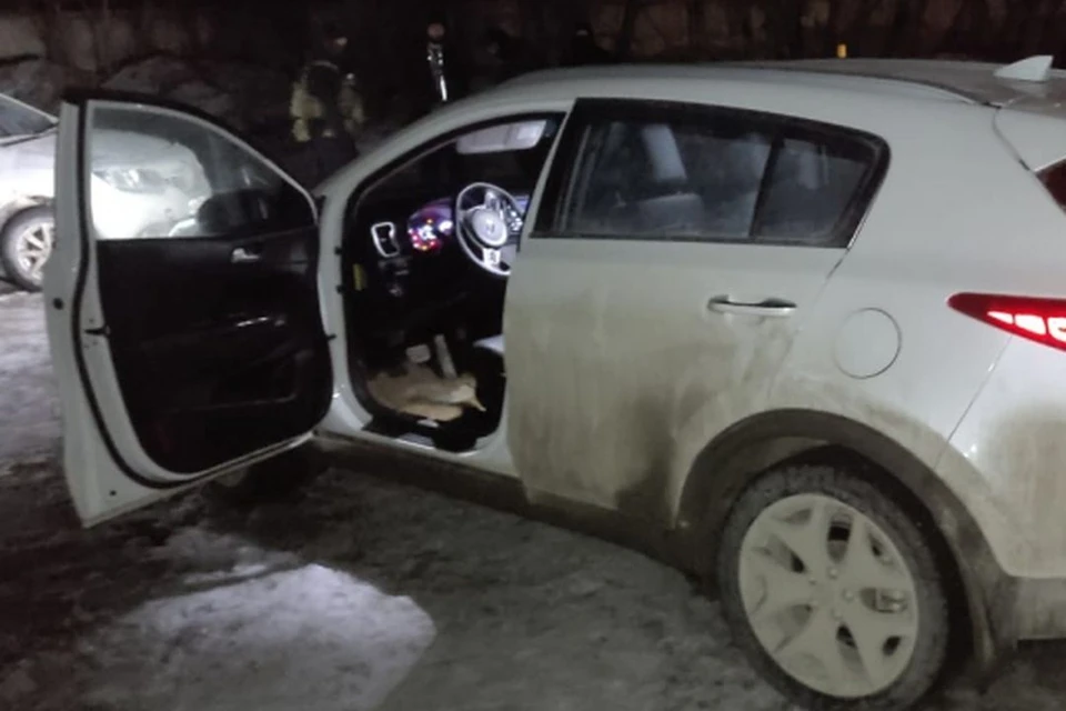 Новосибирские полицейские задержали угонщика автомобиля. Фото: ГУ МВД по НСО.