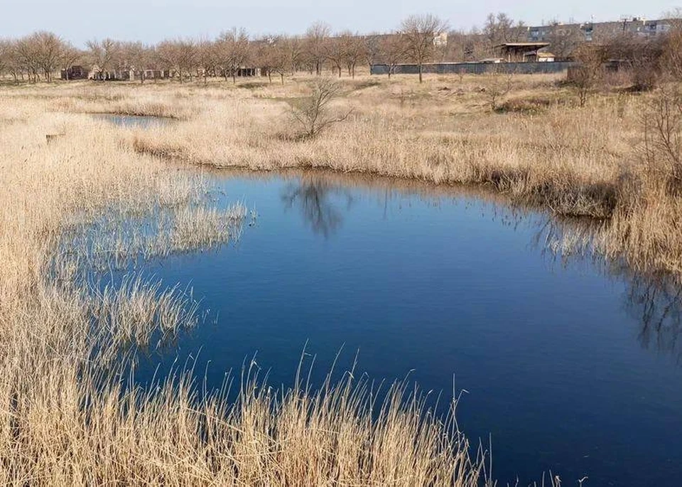 В Запорожской области расчистят три реки Приазовья. ФОТО: Евгений Балицкий