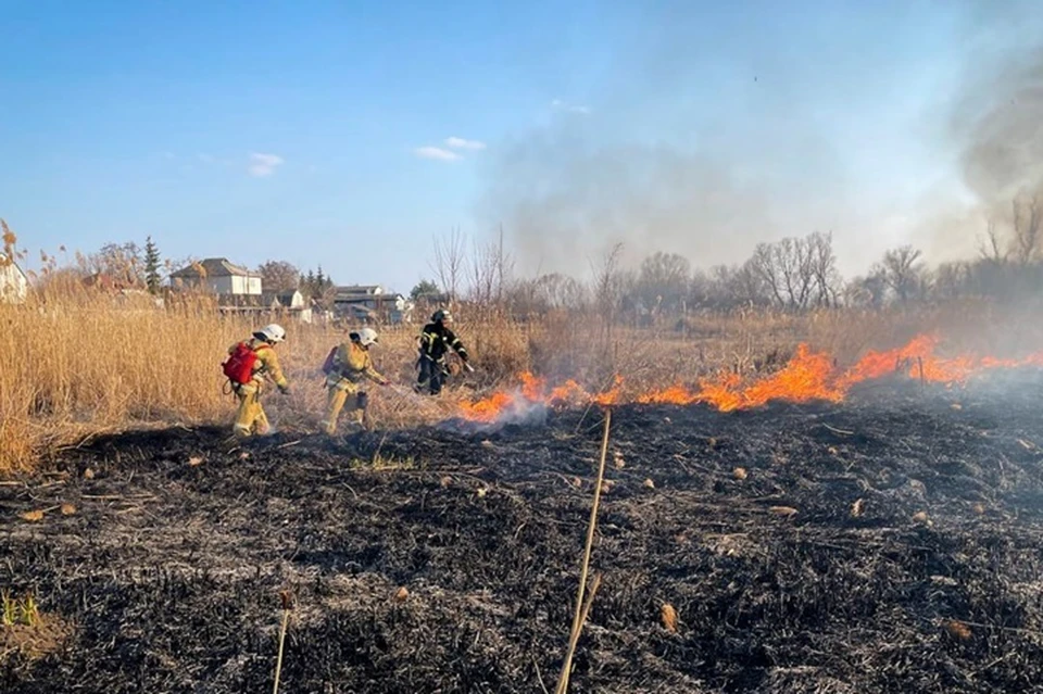 Спасатели 67 раз выезжали 28 марта на тушение сухотравных пожаров в ЛНР. Фото - МЧС ЛНР