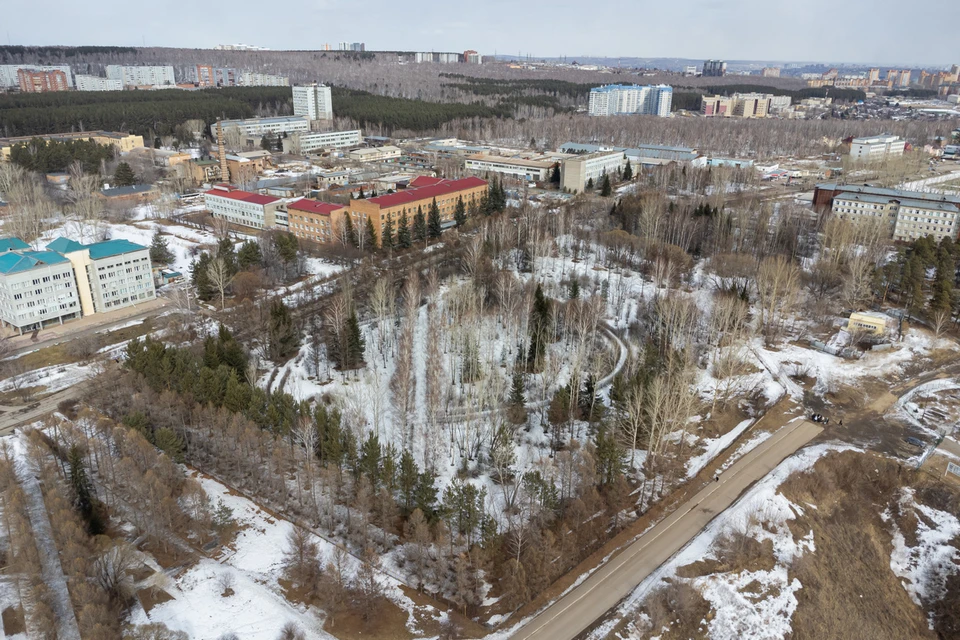 В Красноярске в Академгородке сохранят дендрарий