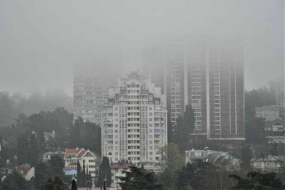 Фото: t.me/officialsochi