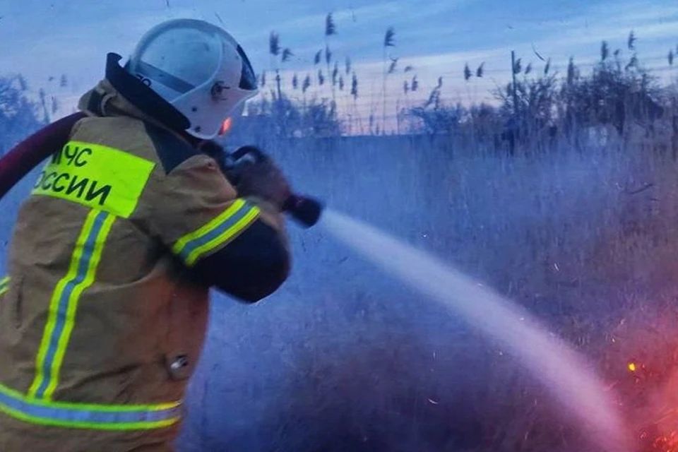 Огнеборцы ДНР за прошедшие сутки потушили 26 природных пожаров. Фото: МЧС ДНР