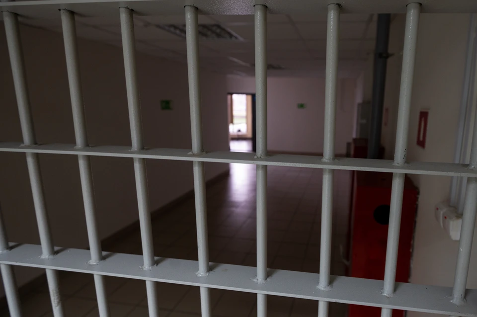 Подозреваемых в краже ювелирки у «голоса принцессы Жасмин» отправили СИЗО Петербурга.