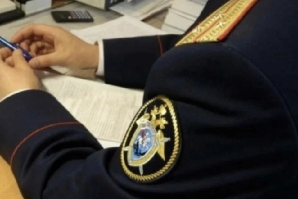 Директор смоленской фирмы подозревается в сокрытии налогов Фото: СКР по Смоленской области