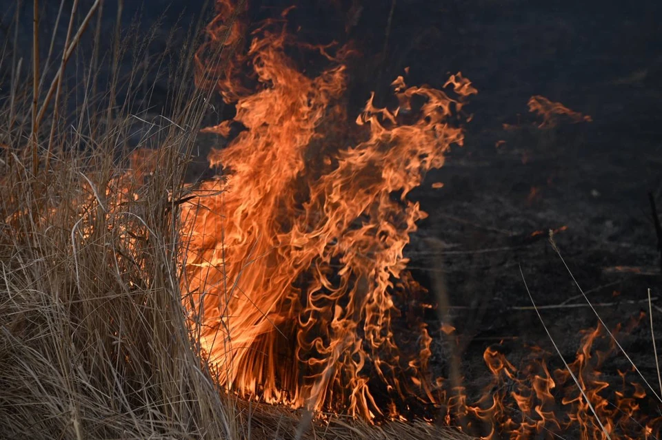 За сутки огнеборцы потушили в Белгородской области 15 ландшафтных пожаров.