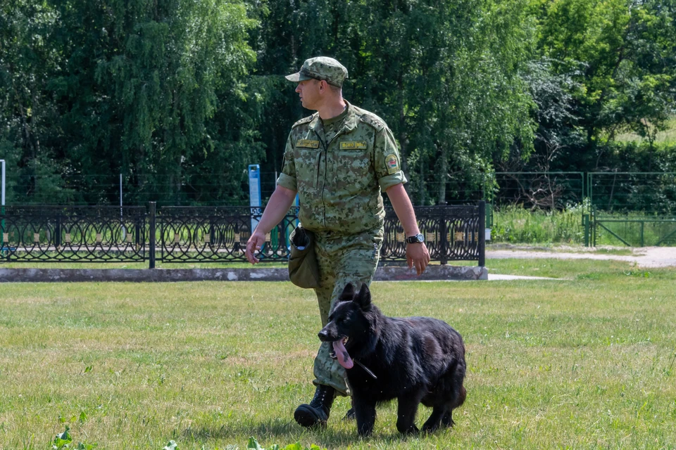 Ульяновцам предлагают поступить на службу в ФСБ в качестве пограничников