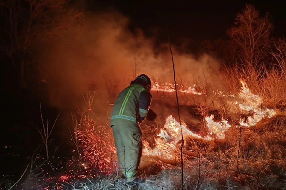 В ЛНР 2 апреля спасатели тушили 79 сухотравных пожаров в 26 районах и городах. Фото - МЧС ЛНР