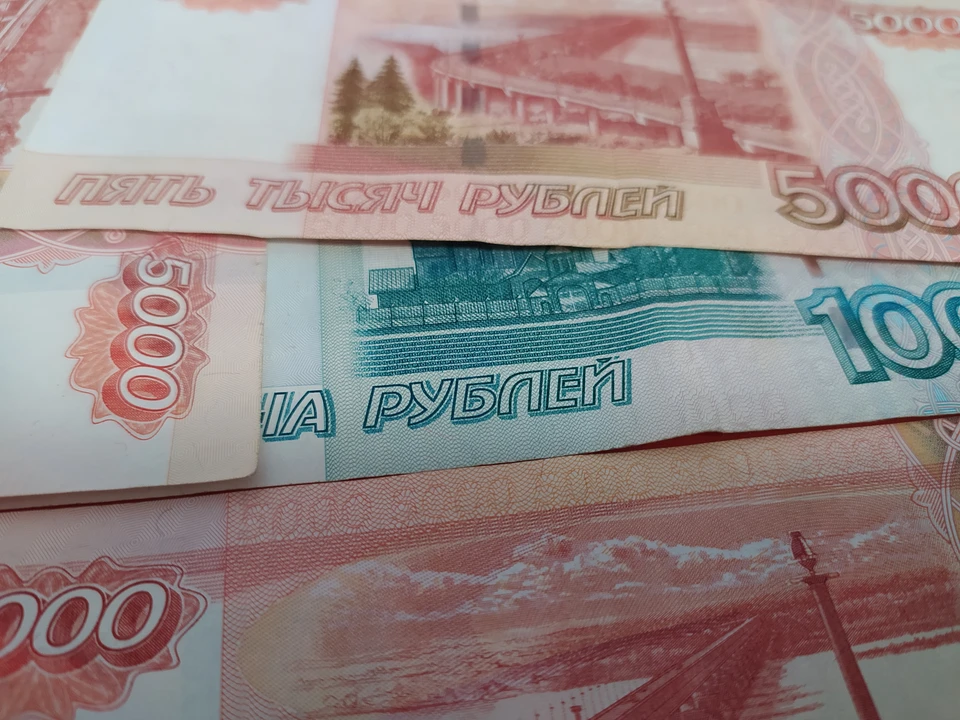 В Счетной палате привела данные о состоянии госдолга России