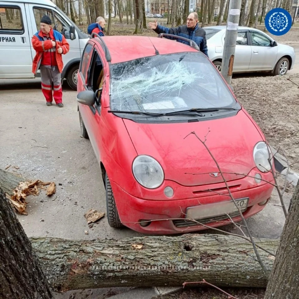 В Обнинске упавшие деревья разбили машины