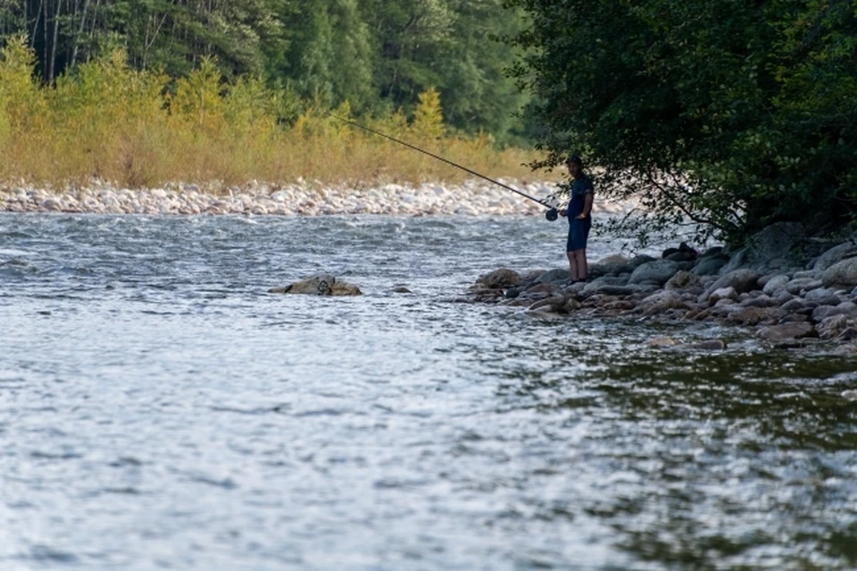 Сезонные ограничения по любительской рыбной ловле ввели в Смоленской области