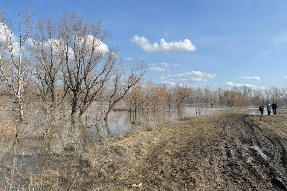 В поселках затопило 12 домов. Фото: ТГ-канал Василия Козупицы