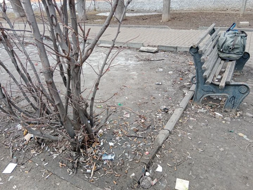 В регионе продолжается месячник благоустройства