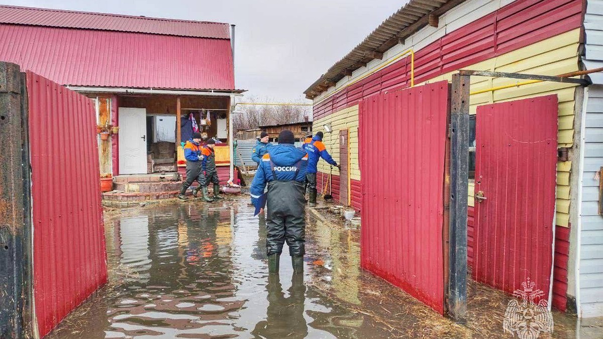 Придет вода из Казахстана: в Курганской области может затопить 50  населенных пунктов и десятки СНТ - KP.RU