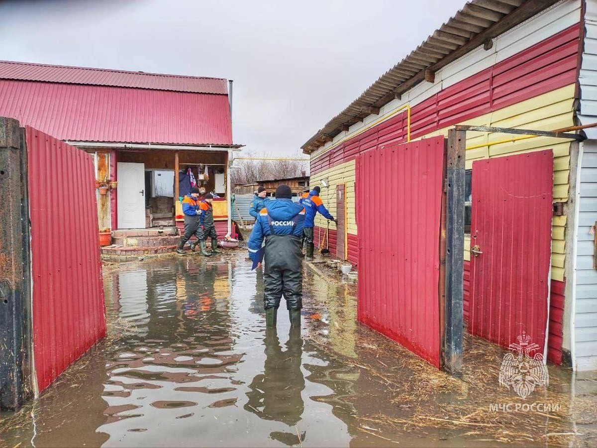 Придет вода из Казахстана: в Курганской области может затопить 50  населенных пунктов и десятки СНТ - KP.RU