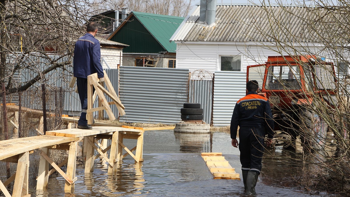 Половодье в Рязани 2024: в Борках сооружают настилы, в Торговый городок  зашла Ока - KP.RU