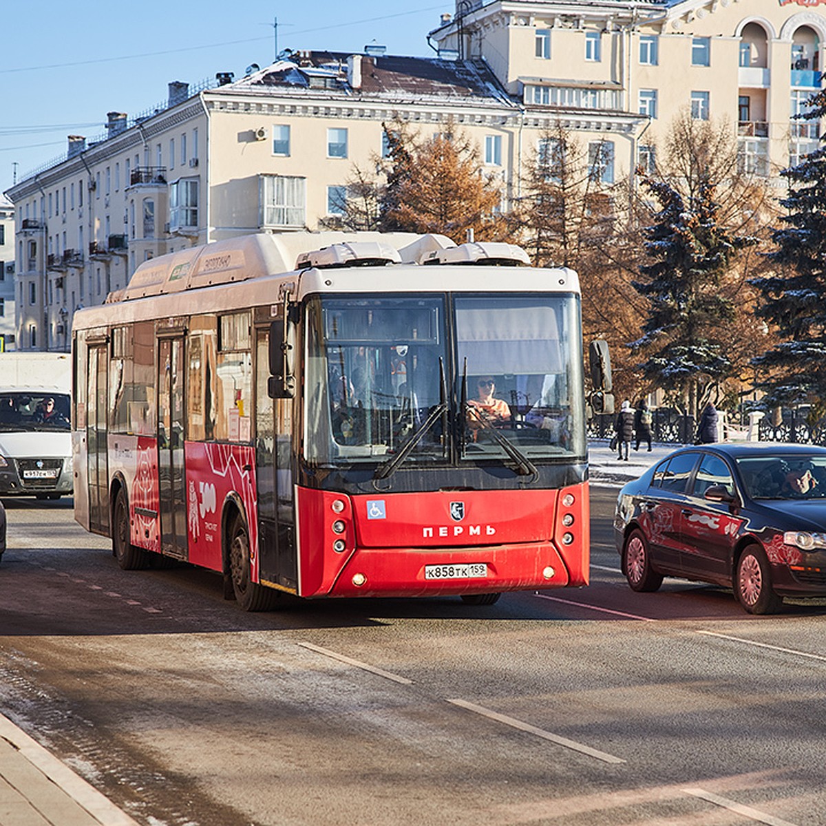 Первый сезонный маршрут в Пермском крае начнет курсировать 15 апреля - KP.RU