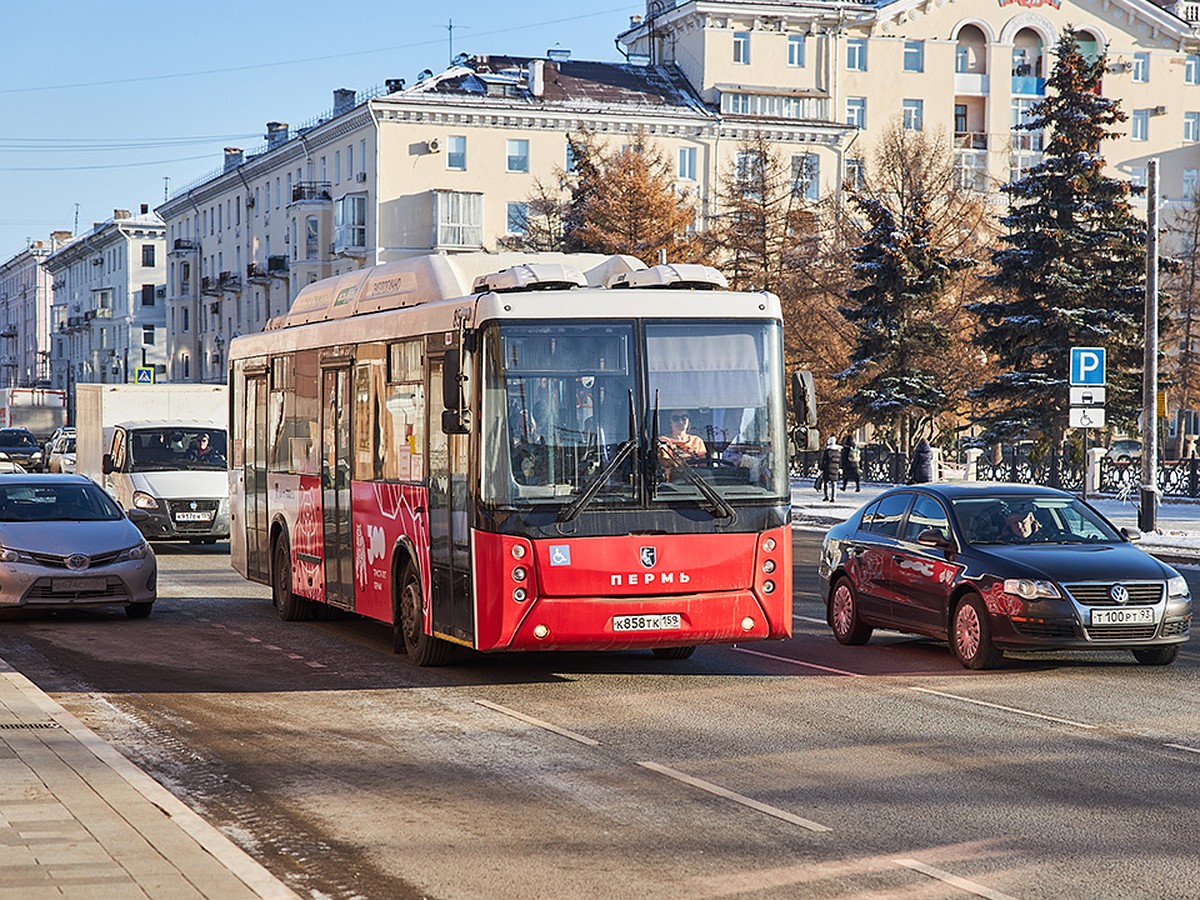 Первый сезонный маршрут в Пермском крае начнет курсировать 15 апреля - KP.RU