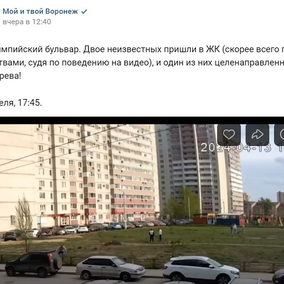 В Воронеже на видео попал буйный мужчина, сломавший два дерева - KP.RU