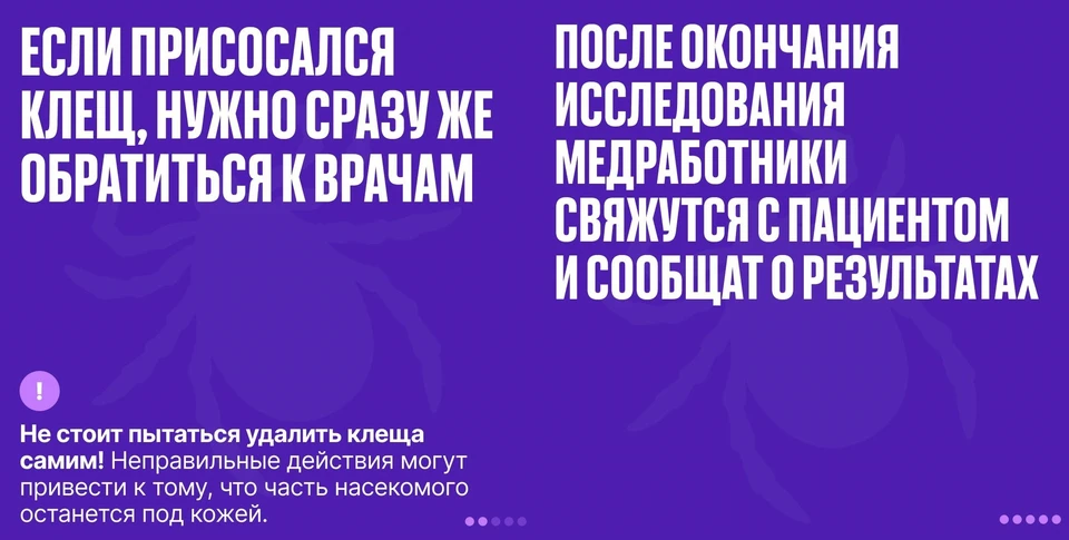 Лаборатории уже открыты. Фото: t.me/razvozhaev