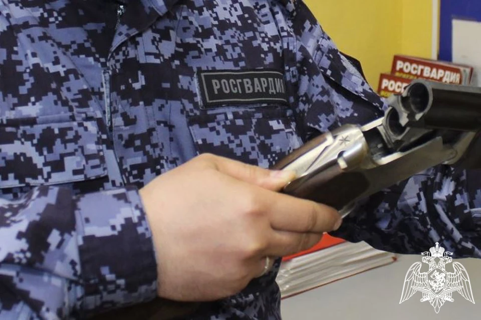 В Ульяновске за три месяца с начала 2024 года у жителей изъяли 242 единицы оружия. ФОТО: Росгвардия УО
