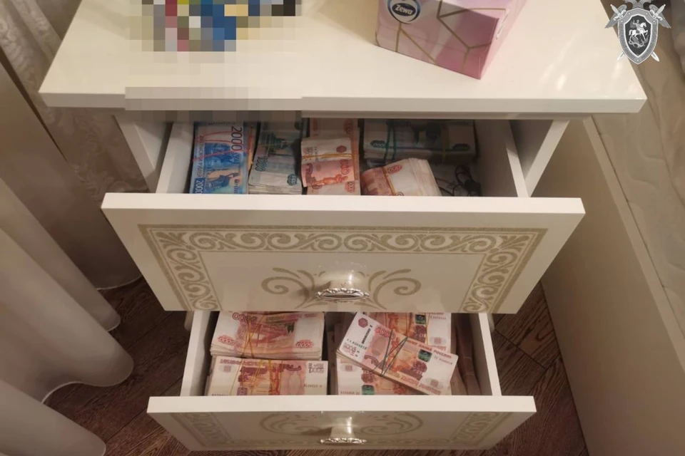 У подозреваемого в убийстве москвича из-за парковки нашли свыше 44 млн рублей. Фото: Telegram-канал СК РФ.