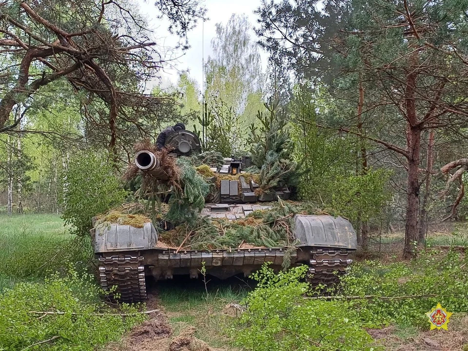 В Минобороны сказали про батальонное учение с боевой стрельбой на Гожском полигоне. Фото: телеграм-канал Минобороны Беларуси