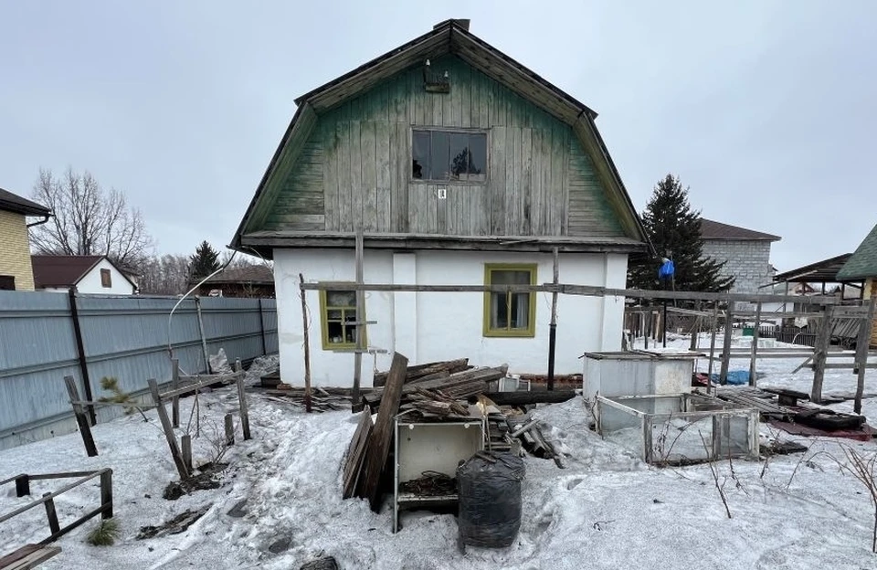 Фото: УМВД России по Омской области