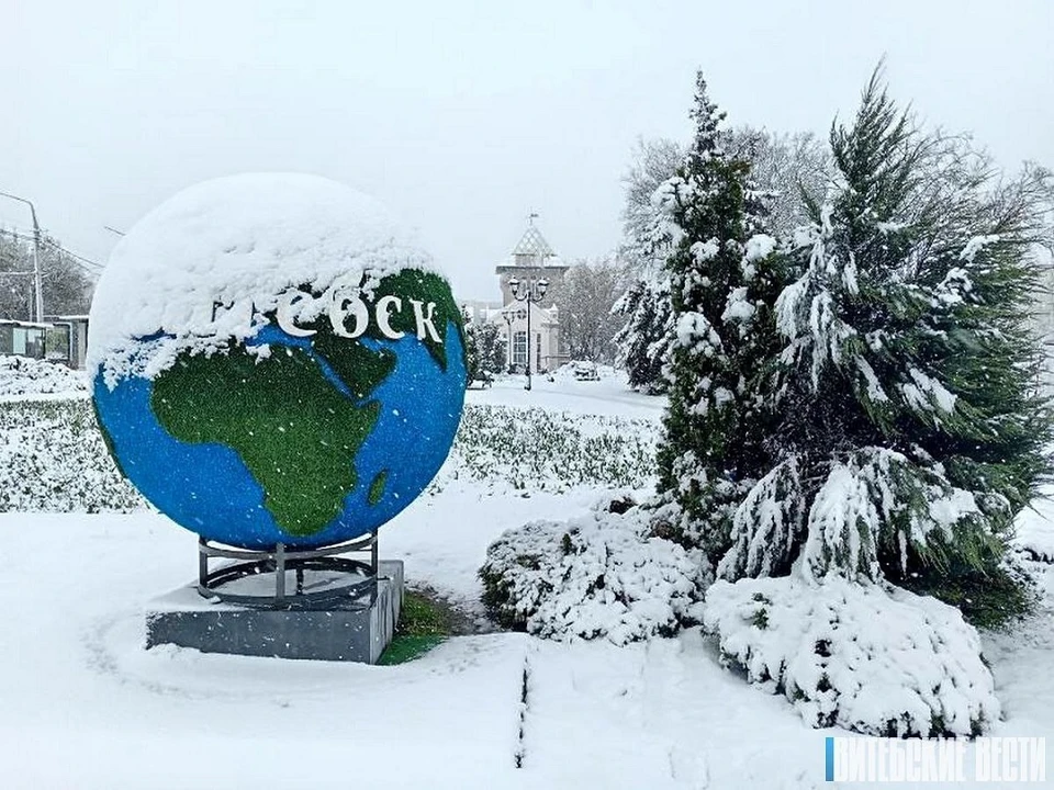 В Витебске ликвидируют последствия обрушившегося снегопада. Фото: "Витебские вести".