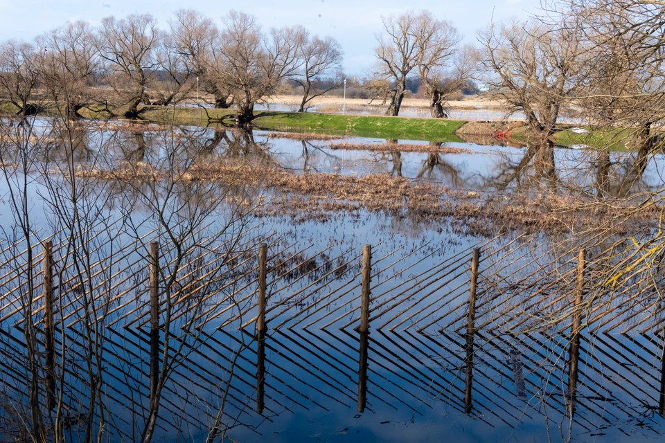Большая вода всегда несет сплошные проблемы.
