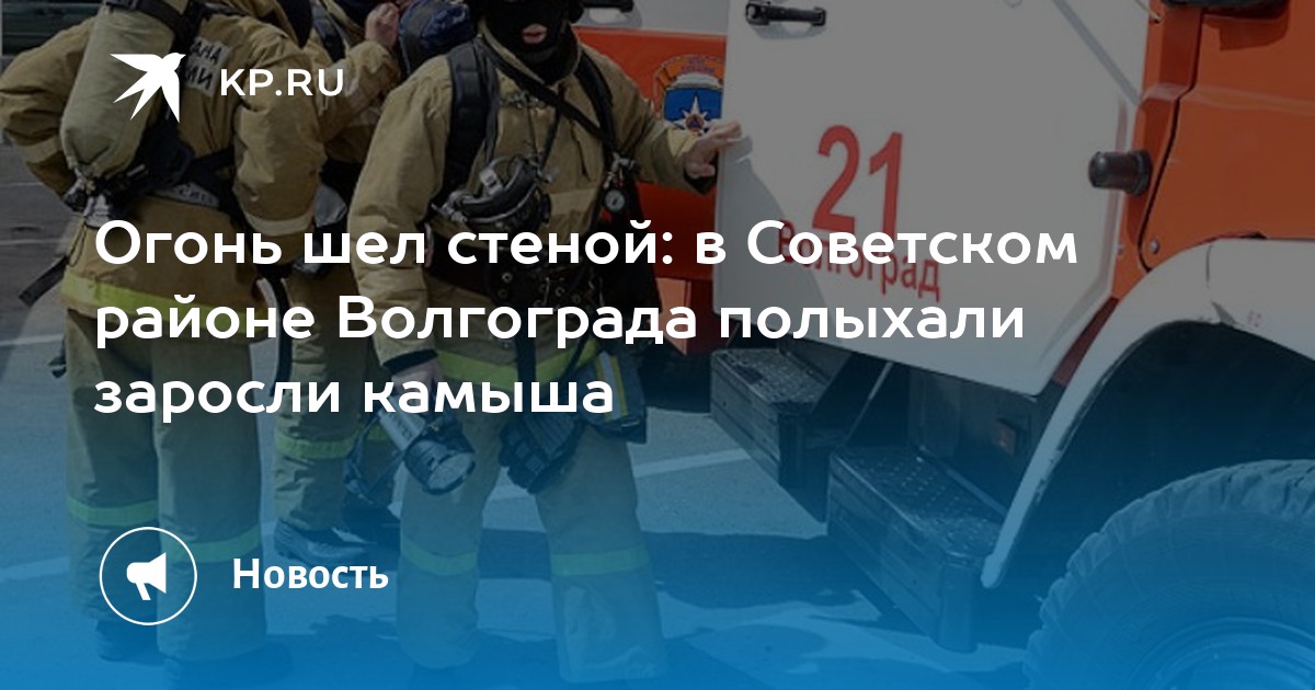 Огонь шел стеной: в Советском районе Волгограда полыхали заросли камыша ...