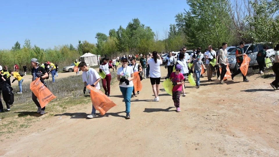 Участники очистили от мусора 8 тысяч кв.м. территории Пролетарского острова ФОТО: Городская Дума Астрахани