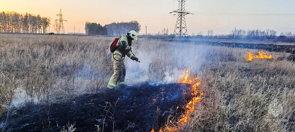 Фото: ГУ МЧС по Омской области