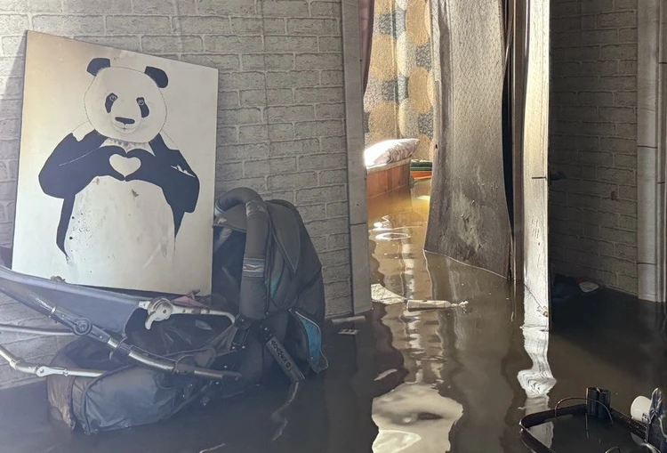 На заборе - холодильник, в комнате - черепахи, в душе – боль и ужас: жители оренбургского поселка возвращаются в затопленные дома