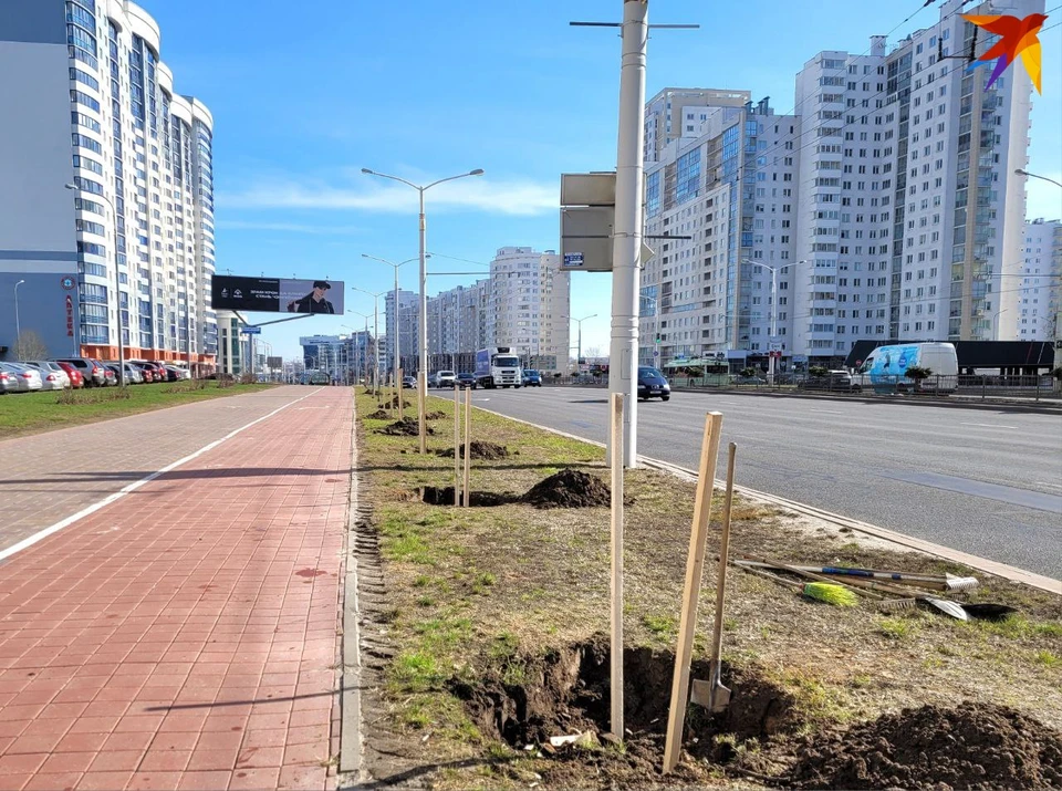 В Белстате назвали самый трудолюбивый регион Беларуси на субботниках. Фото: архив, носит иллюстративный характер.