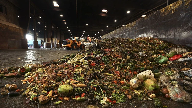 В мире отправляется в мусор почти пятая часть произведённого продовольствия
